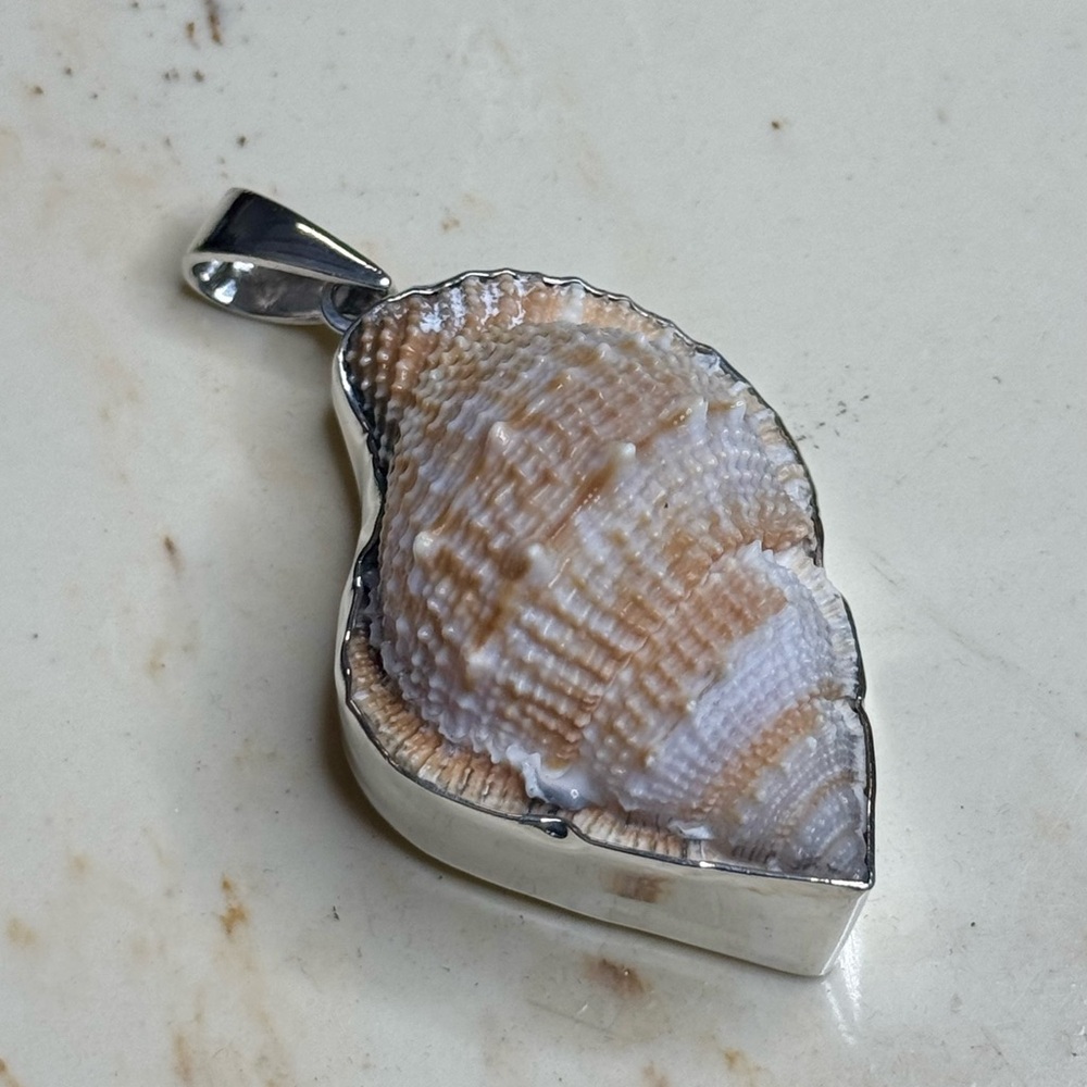 Charles Albert Sterling Silver Frog Shell Pendant 3.25” Stamped